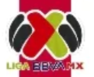 Liga MX Sleeve